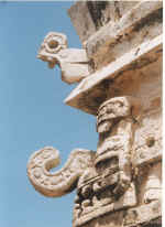 closeup.jpg (63211 bytes)