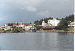 sitka.jpg (45360 bytes)